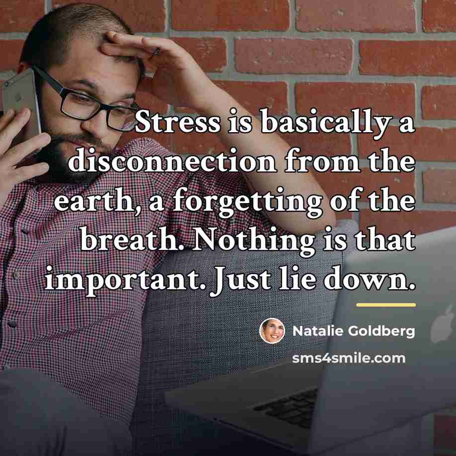 “Stress is basically a disconnection from the earth, a forgetting…” quote by Natalie Goldberg