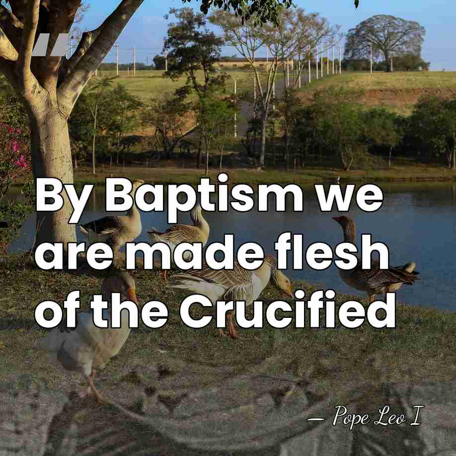 By Baptism we are made flesh of the Crucified - Pope Leo I