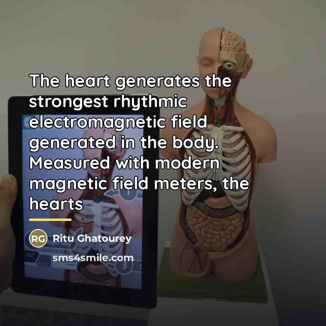 “The heart generates the strongest rhythmic electromagnetic field generated in…” quote by Ritu Ghatourey
