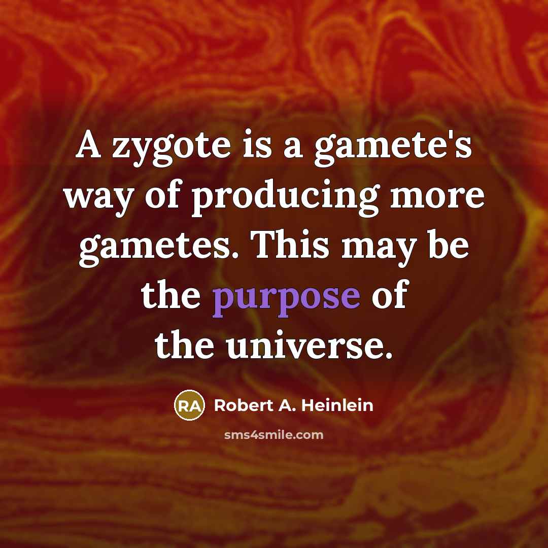 “A zygote is a gamete's way of producing more gametes.…” quote by Robert A. Heinlein