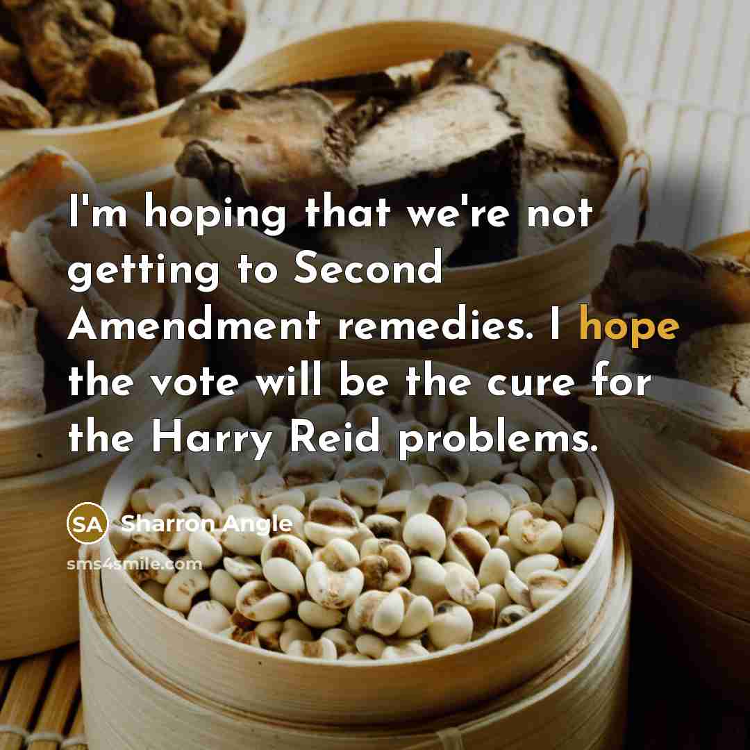 “I'm hoping that we're not getting to Second Amendment remedies.…” quote by Sharron Angle