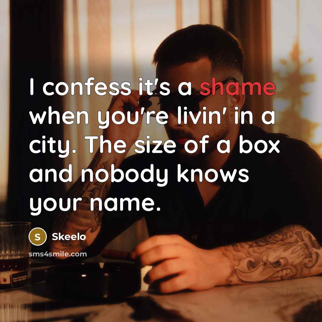“I confess it's a shame when you're livin' in a…” quote by Skeelo