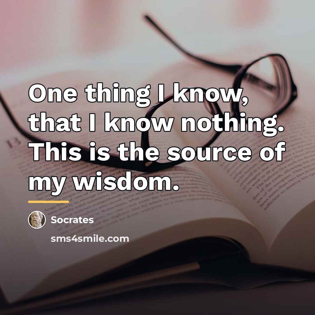 “One thing I know, that I know nothing. This is…” quote by Socrates
