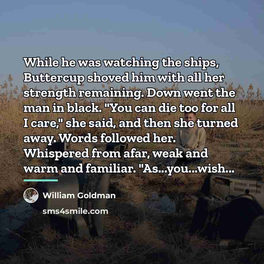 “While he was watching the ships, Buttercup shoved him with…” quote by William Goldman