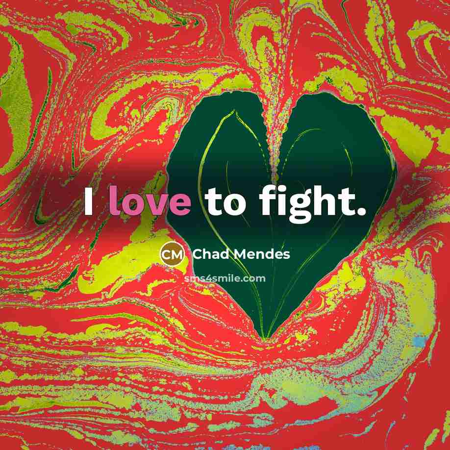 “I love to fight.…” quote by Chad Mendes