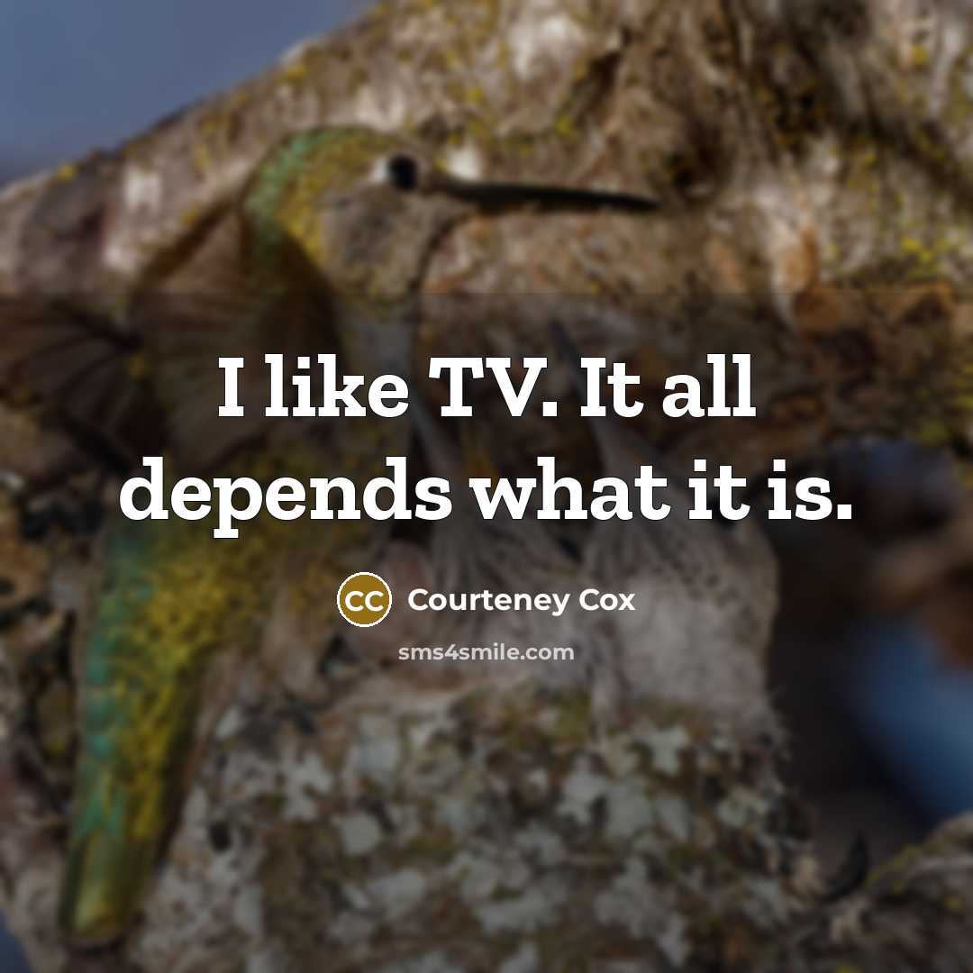“I like TV. It all depends what it is.…” quote by Courteney Cox