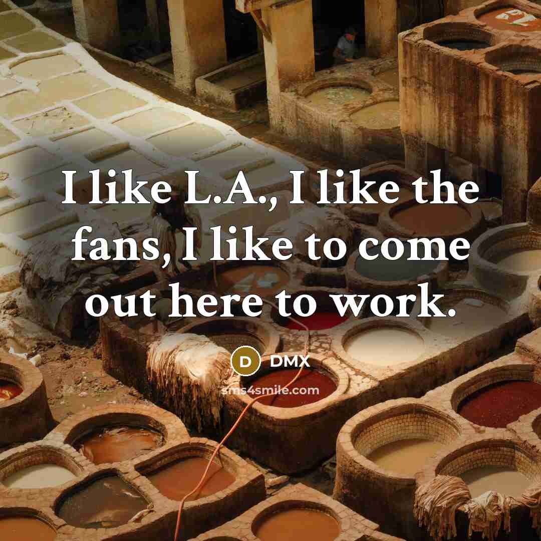“I like L.A., I like the fans, I like to…” quote by DMX