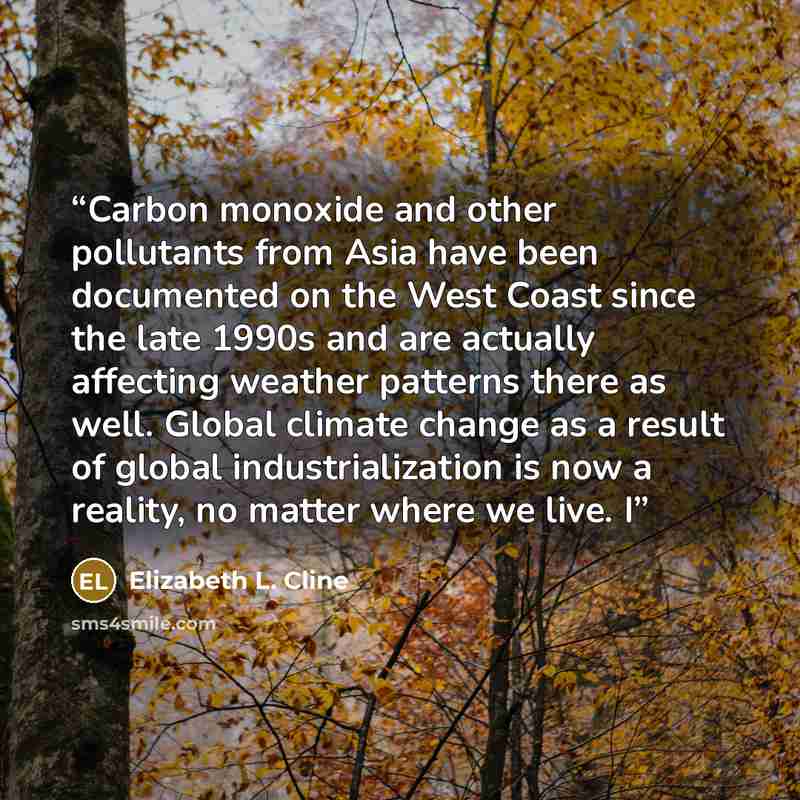 “Carbon monoxide and other pollutants from Asia have been documented on the West Coast since the late 1990s and are actually affecting weather patterns there as well. Global climate change as a result of global industrialization is now a reality, no matter where we live. I” quote by Elizabeth L. Cline