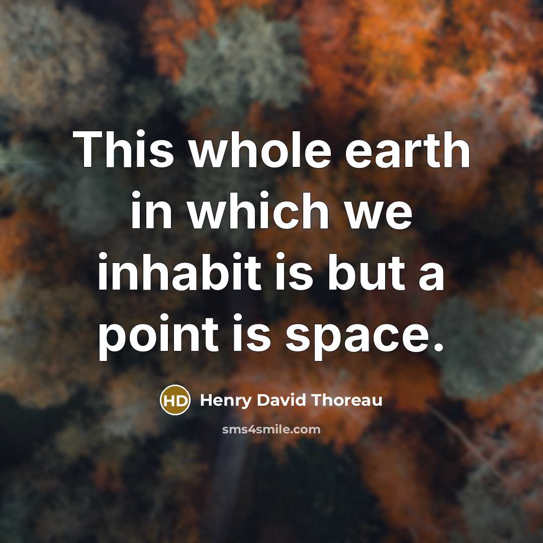 “This whole earth in which we inhabit is but a…” quote by Henry David Thoreau