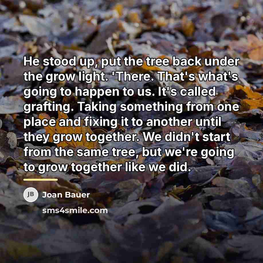 “He stood up, put the tree back under the grow…” quote by Joan Bauer