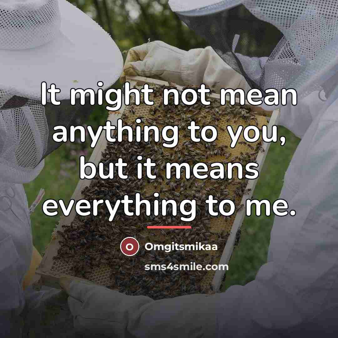 “It might not mean anything to you, but it means…” quote by Omgitsmikaa
