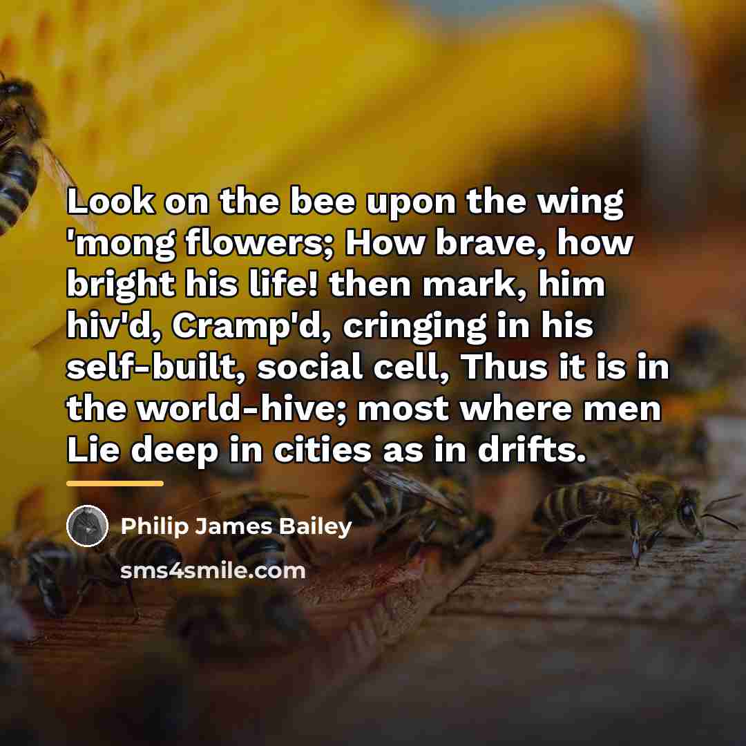 “Look on the bee upon the wing 'mong flowers; How…” quote by Philip James Bailey