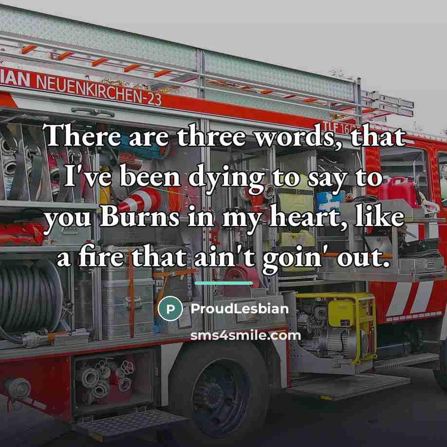 “There are three words, that I've been dying to say…” quote by ProudLesbian