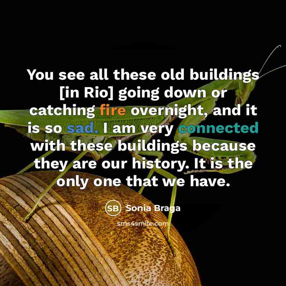 “You see all these old buildings [in Rio] going down…” quote by Sonia Braga