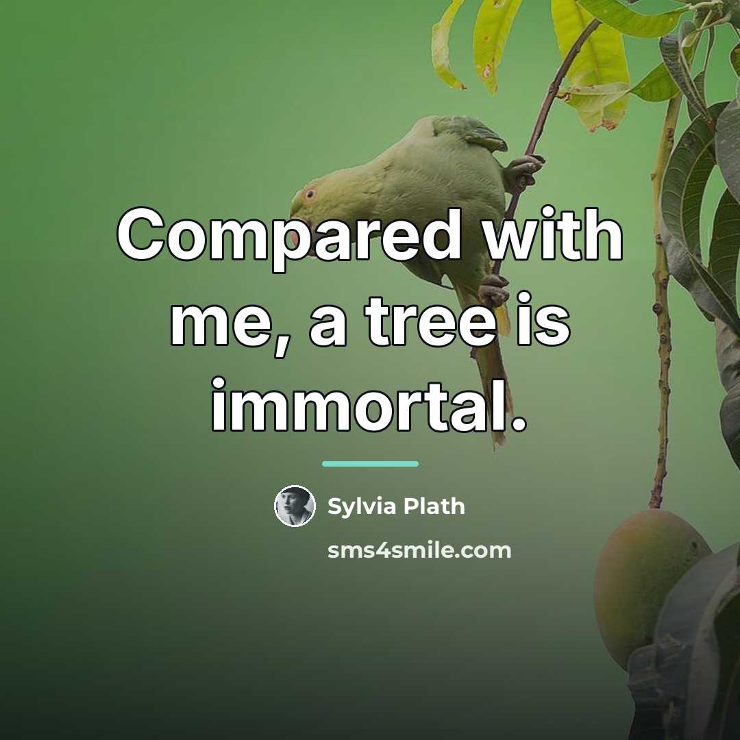 “Compared with me, a tree is immortal.…” quote by Sylvia Plath