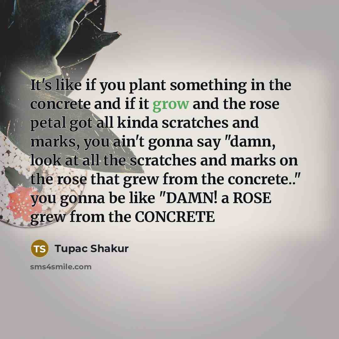 “It's like if you plant something in the concrete and…” quote by Tupac Shakur