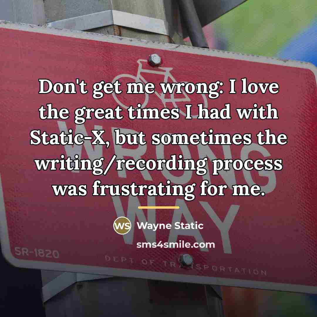 “Don't get me wrong: I love the great times I…” quote by Wayne Static