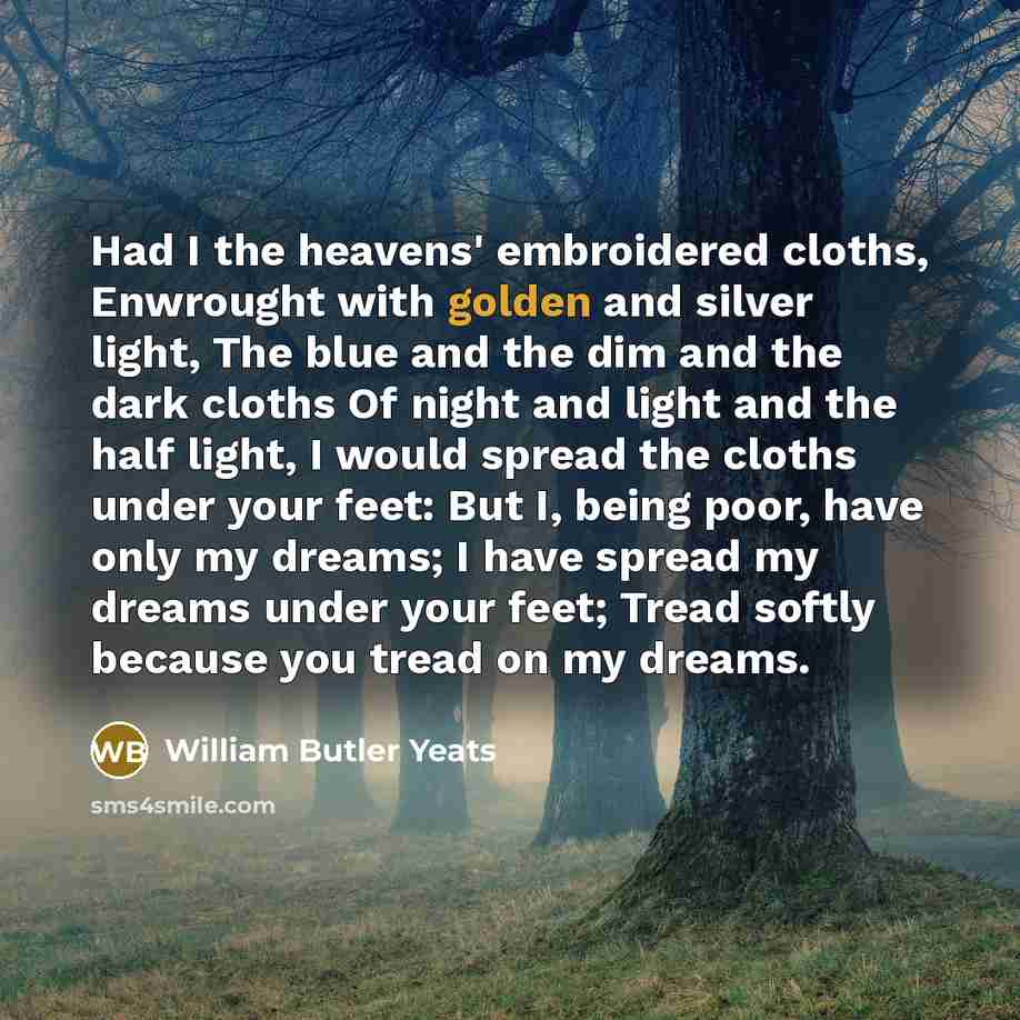 “Had I the heavens' embroidered cloths, Enwrought with golden and…” quote by William Butler Yeats
