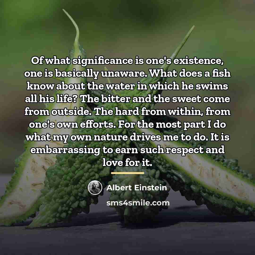 “Of what significance is one's existence, one is basically unaware.…” quote by Albert Einstein
