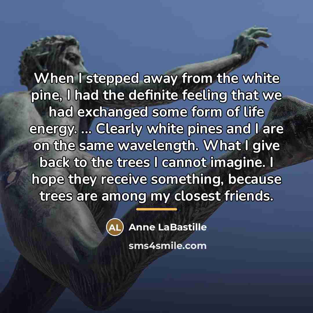 “When I stepped away from the white pine, I had…” quote by Anne LaBastille