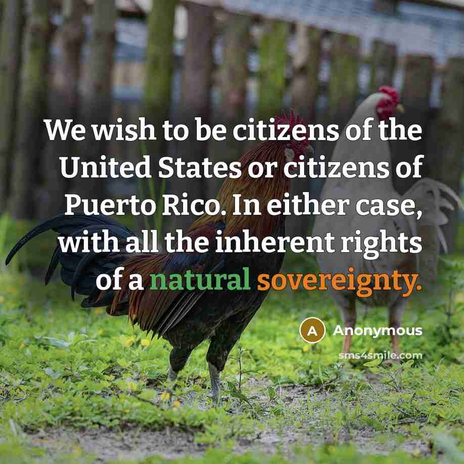 “We wish to be citizens of the United States or citizens of Puerto Rico. In either case, with all the inherent rights of a natural sovereignty.” quote by Anonymous