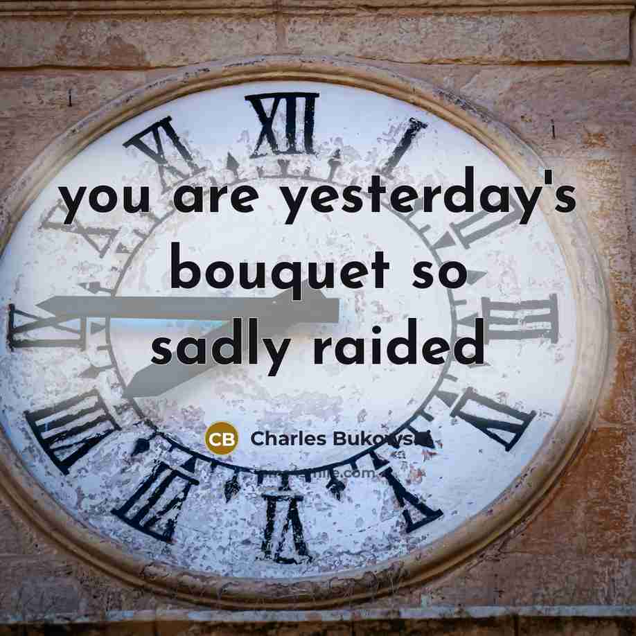 “you are yesterday's bouquet so sadly raided…” quote by Charles Bukowski