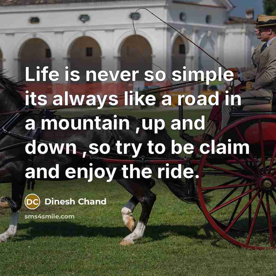 “Life is never so simple its always like a road in a mountain ,up and down ,so try to be claim and enjoy the ride.” quote by Dinesh Chand