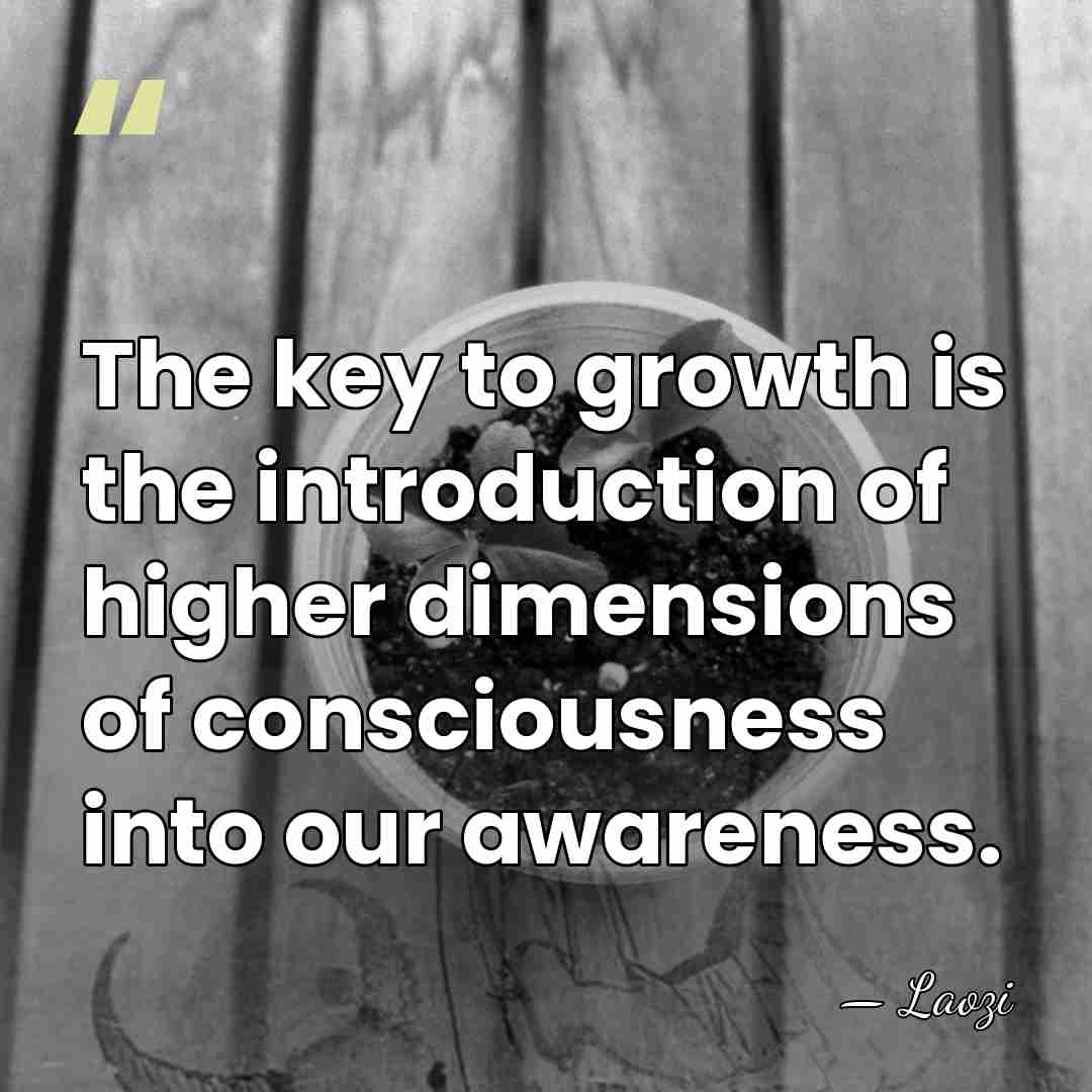The key to growth is the introduction of higher dimensions of consciousness&hellip; - Laozi