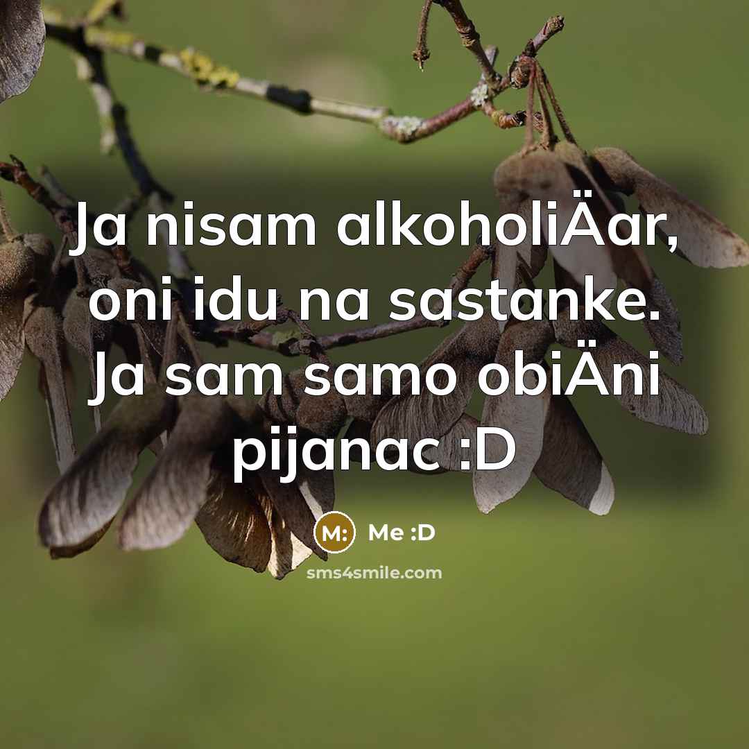 “Ja nisam alkoholiÄar, oni idu na sastanke. Ja sam samo obiÄni pijanac :D” quote by Me :D