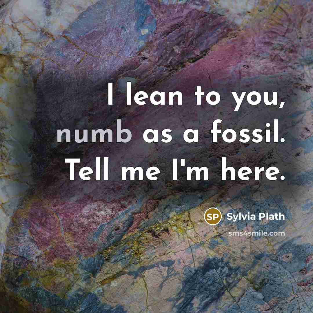 “I lean to you, numb as a fossil. Tell me…” quote by Sylvia Plath