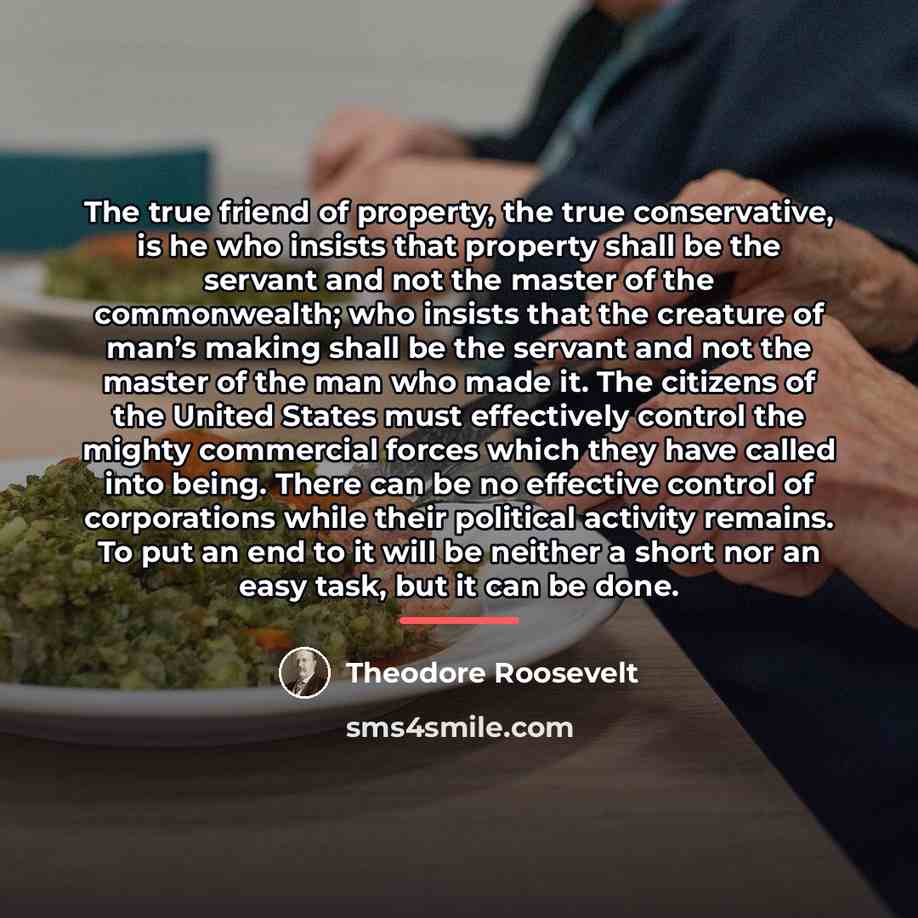 “The true friend of property, the true conservative, is he…” quote by Theodore Roosevelt