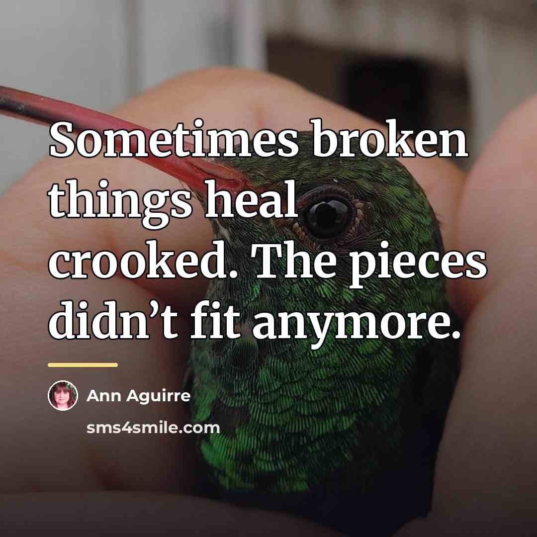 “Sometimes broken things heal crooked. The pieces didn’t fit anymore.…” quote by Ann Aguirre