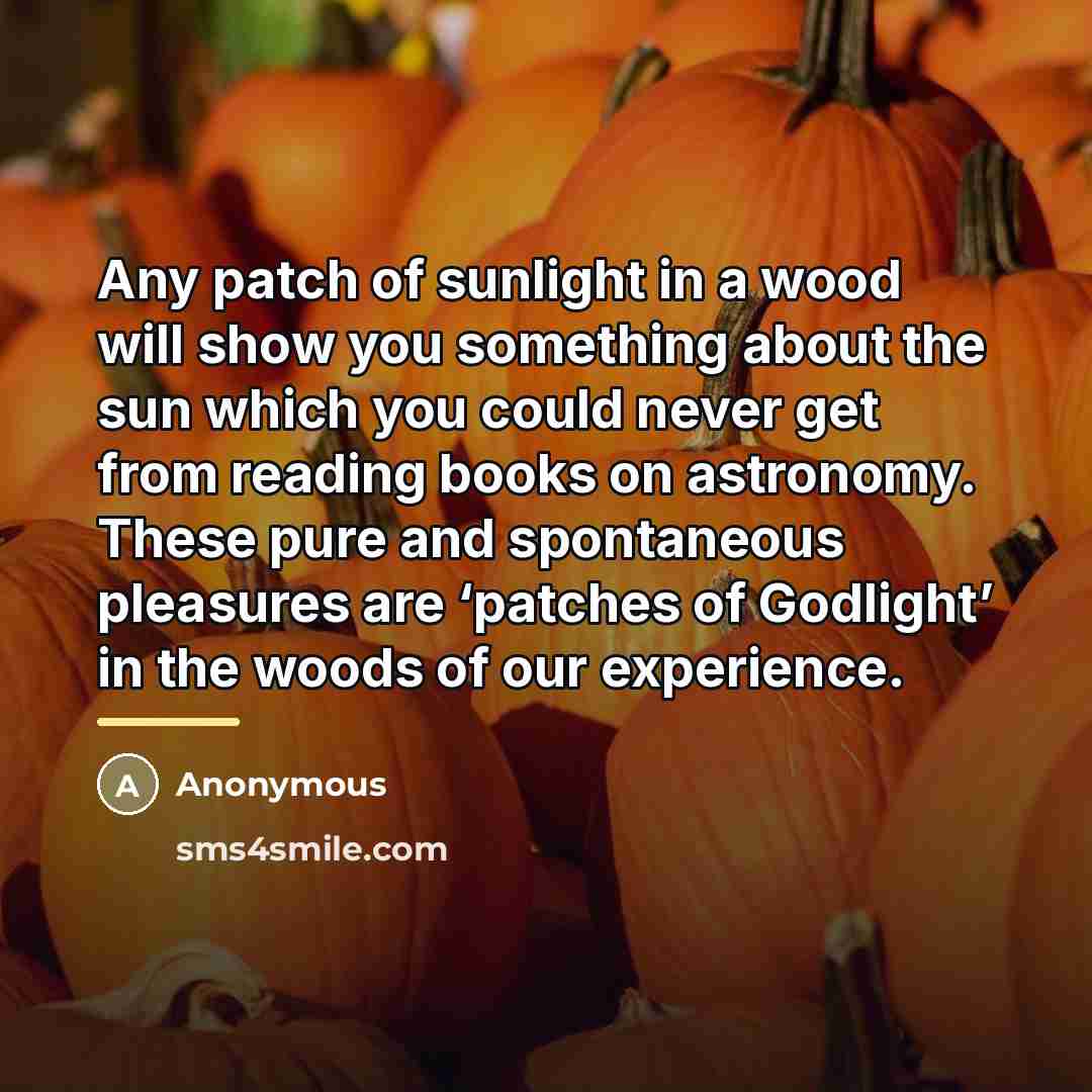 “Any patch of sunlight in a wood will show you…” quote by Anonymous