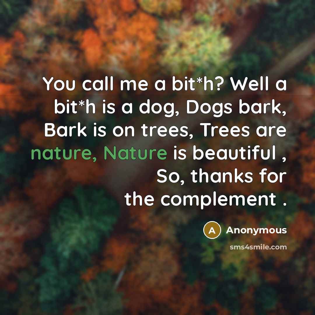 “You call me a bit*h? Well a bit*h is a…” quote by Anonymous