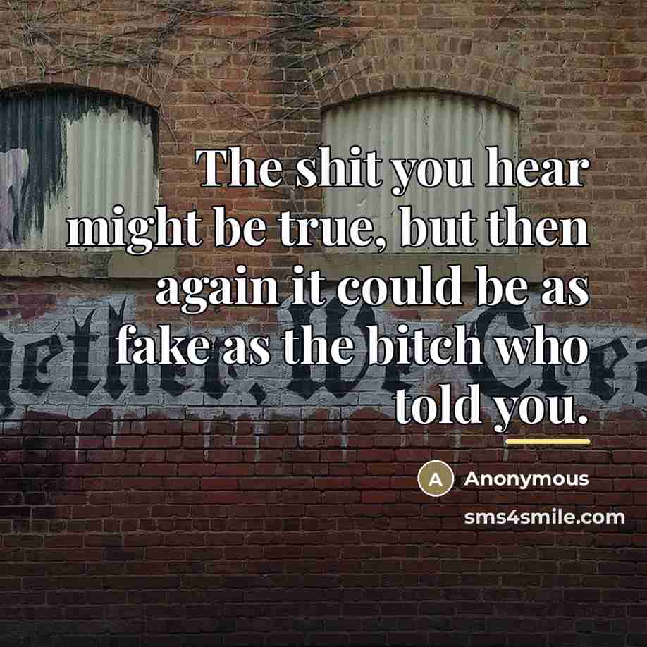 “The shit you hear might be true, but then again…” quote by Anonymous