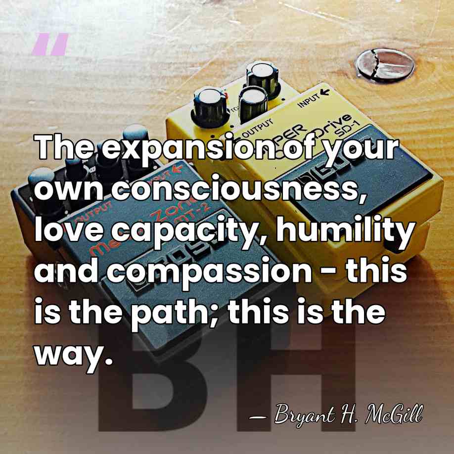 The expansion of your own consciousness, love capacity, humility and compassion -&hellip; - Bryant H. McGill