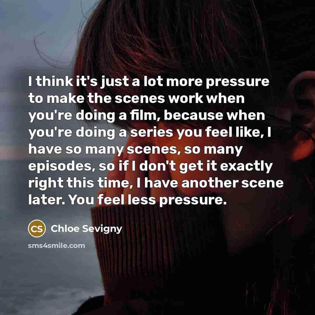 “I think it's just a lot more pressure to make…” quote by Chloe Sevigny