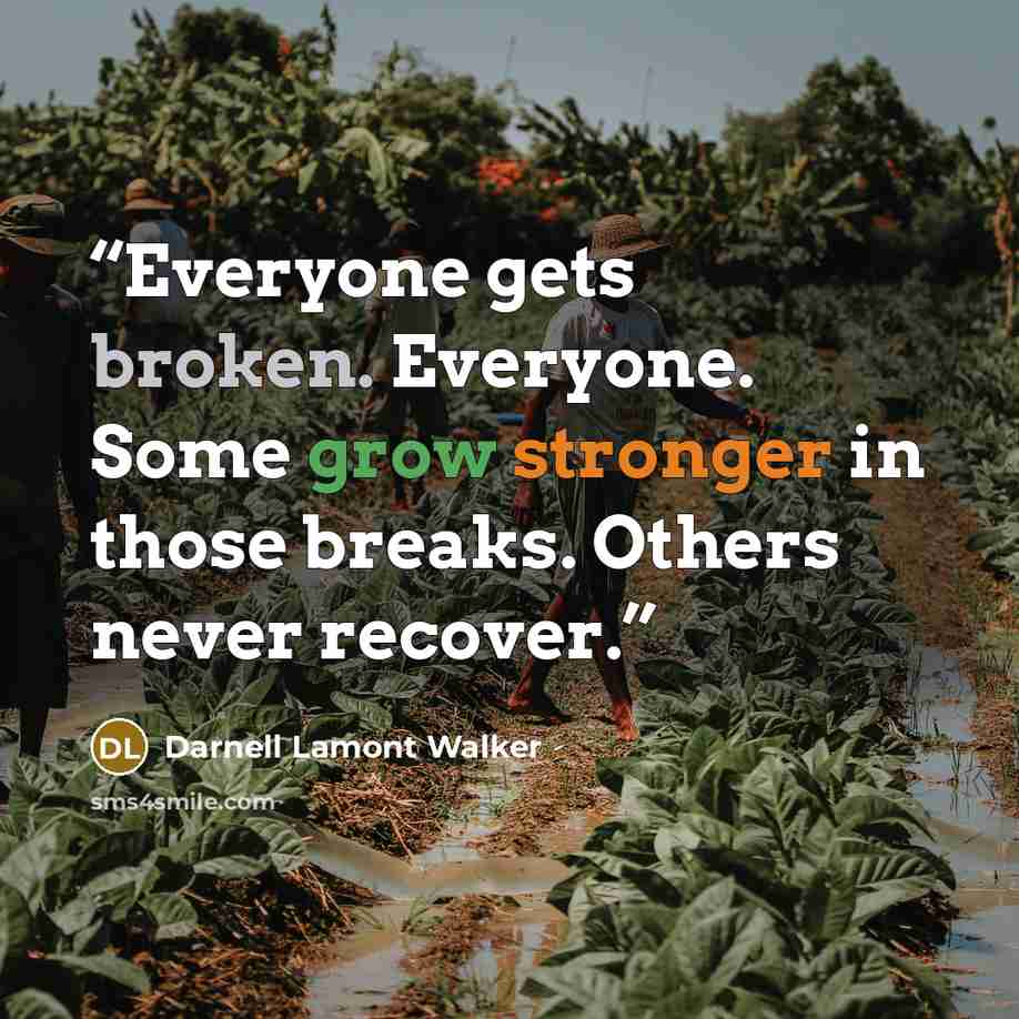 “Everyone gets broken. Everyone. Some grow stronger in those breaks. Others never recover.” quote by Darnell Lamont Walker