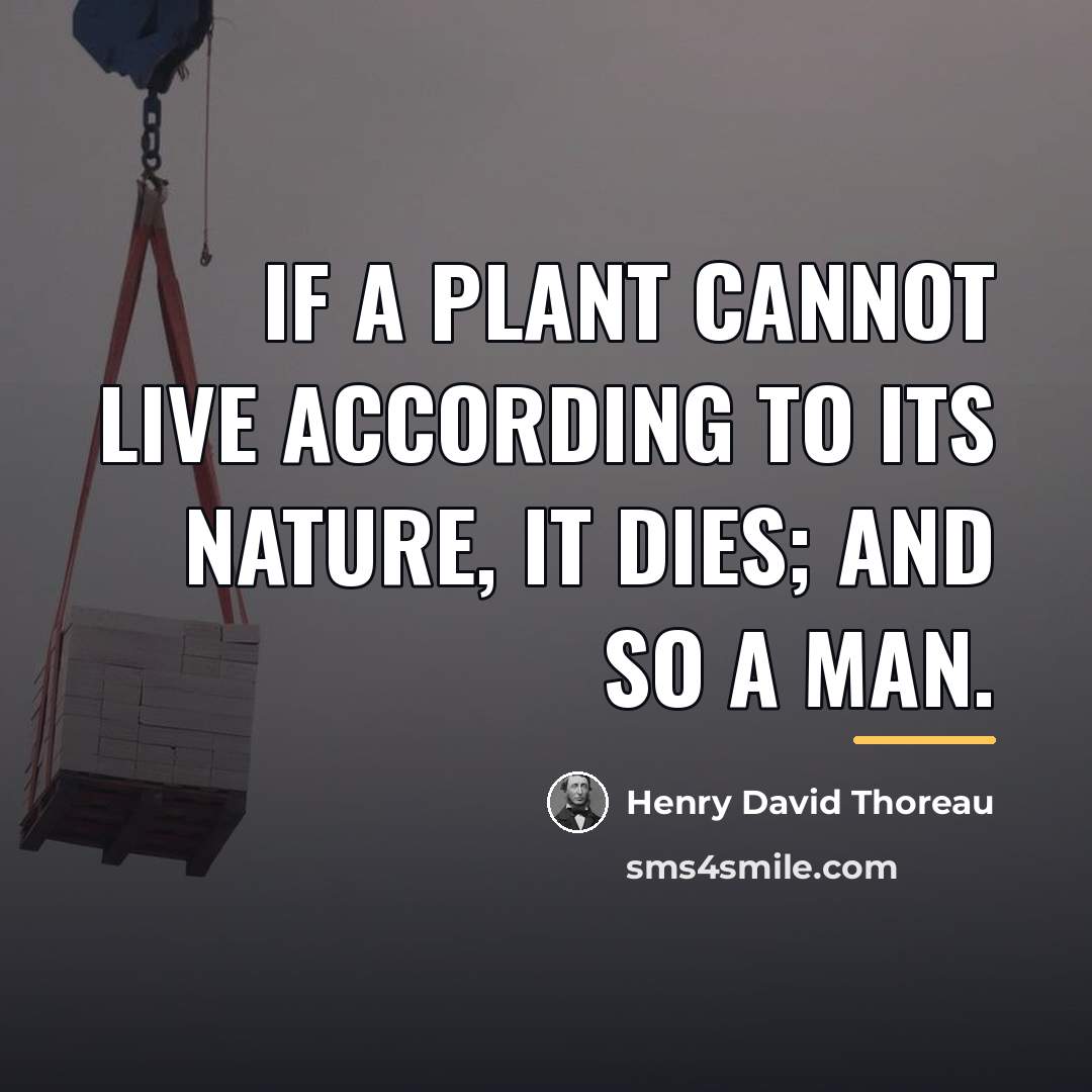 “If a plant cannot live according to its nature, it…” quote by Henry David Thoreau