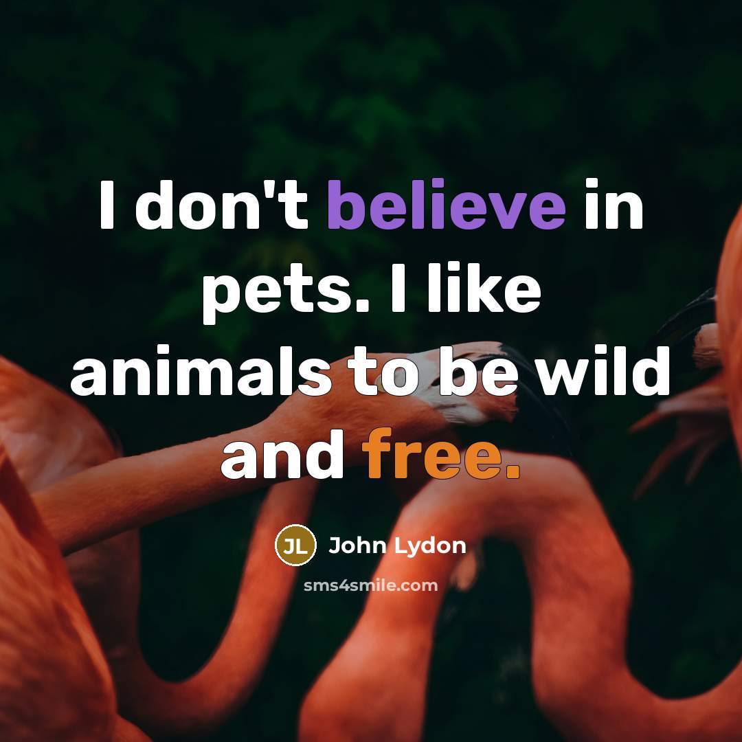 “I don't believe in pets. I like animals to be…” quote by John Lydon