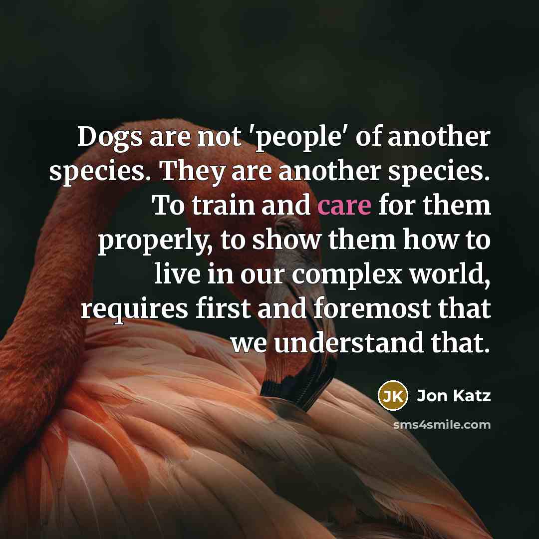 “Dogs are not 'people' of another species. They are another species. To train and care for them properly, to show them how to live in our complex world, requires first and foremost that we understand that.” quote by Jon Katz