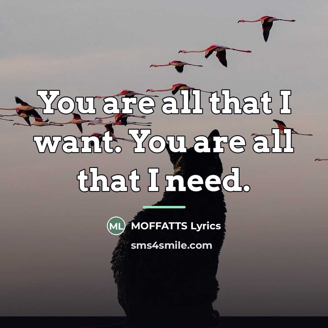 “You are all that I want. You are all that…” quote by MOFFATTS Lyrics