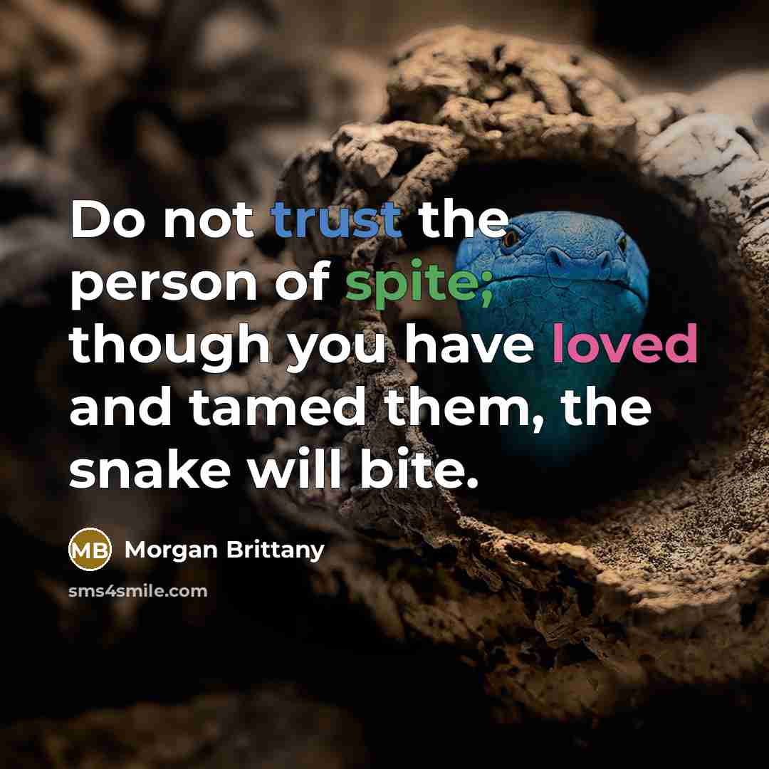 “Do not trust the person of spite; though you have…” quote by Morgan Brittany