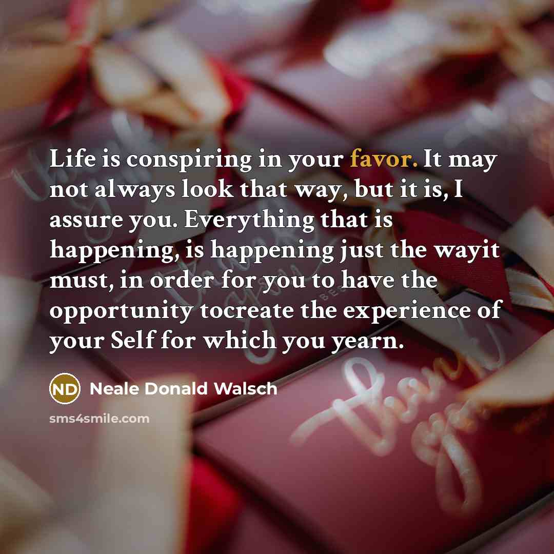 “Life is conspiring in your favor. It may not always…” quote by Neale Donald Walsch