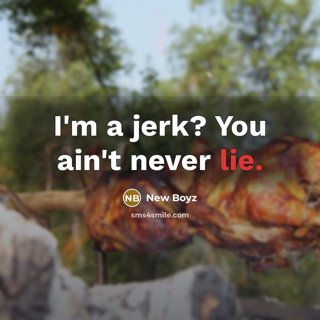 “I'm a jerk? You ain't never lie.” quote by New Boyz