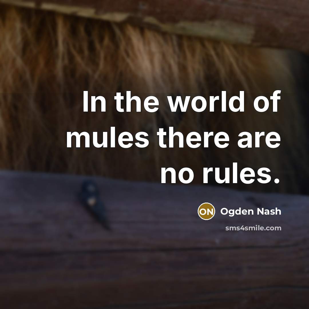 “In the world of mules there are no rules.…” quote by Ogden Nash