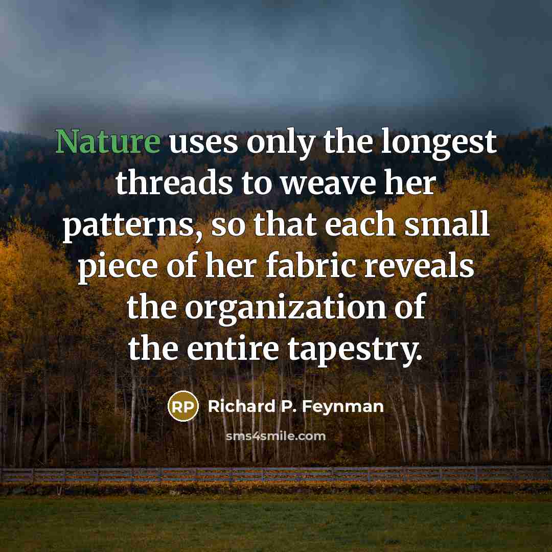 “Nature uses only the longest threads to weave her patterns,…” quote by Richard P. Feynman