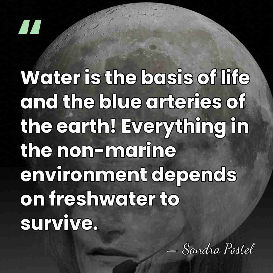 Water is the basis of life and the blue arteries of the&hellip; - Sandra Postel