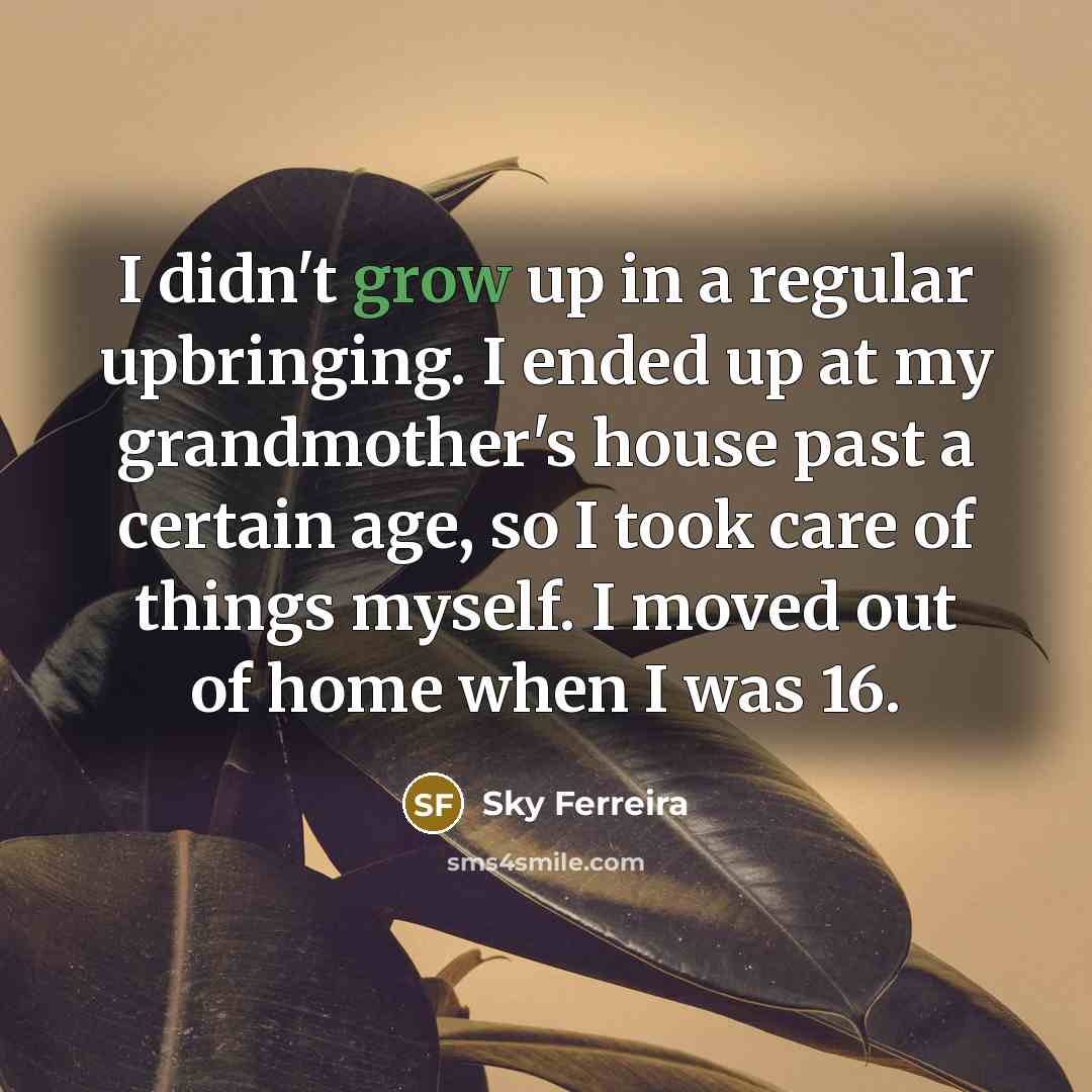 “I didn't grow up in a regular upbringing. I ended…” quote by Sky Ferreira