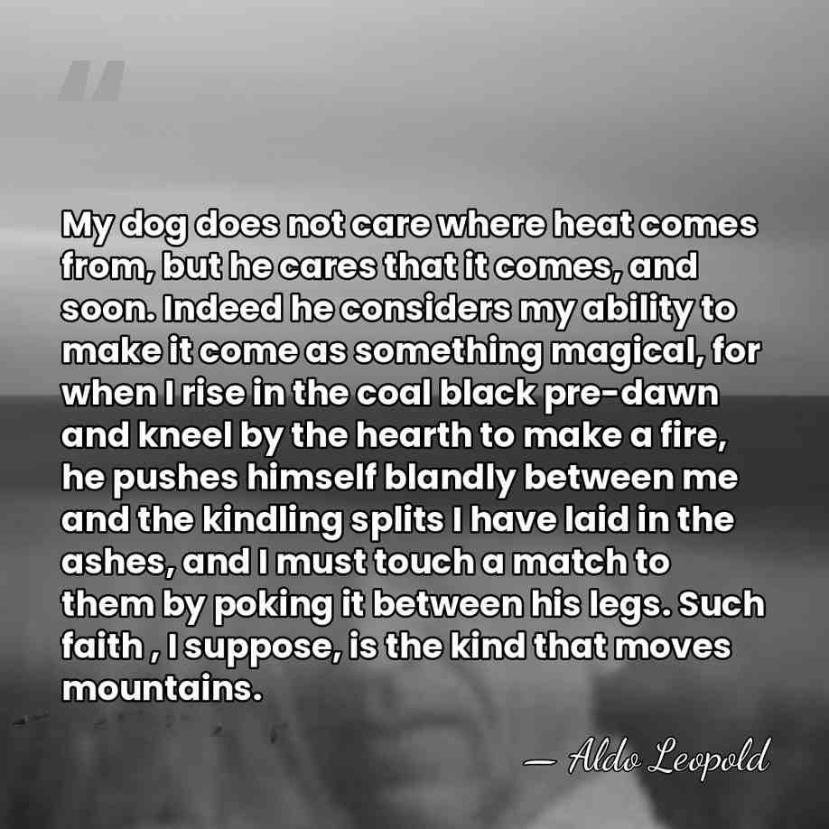 My dog does not care where heat comes from, but he cares&hellip; - Aldo Leopold